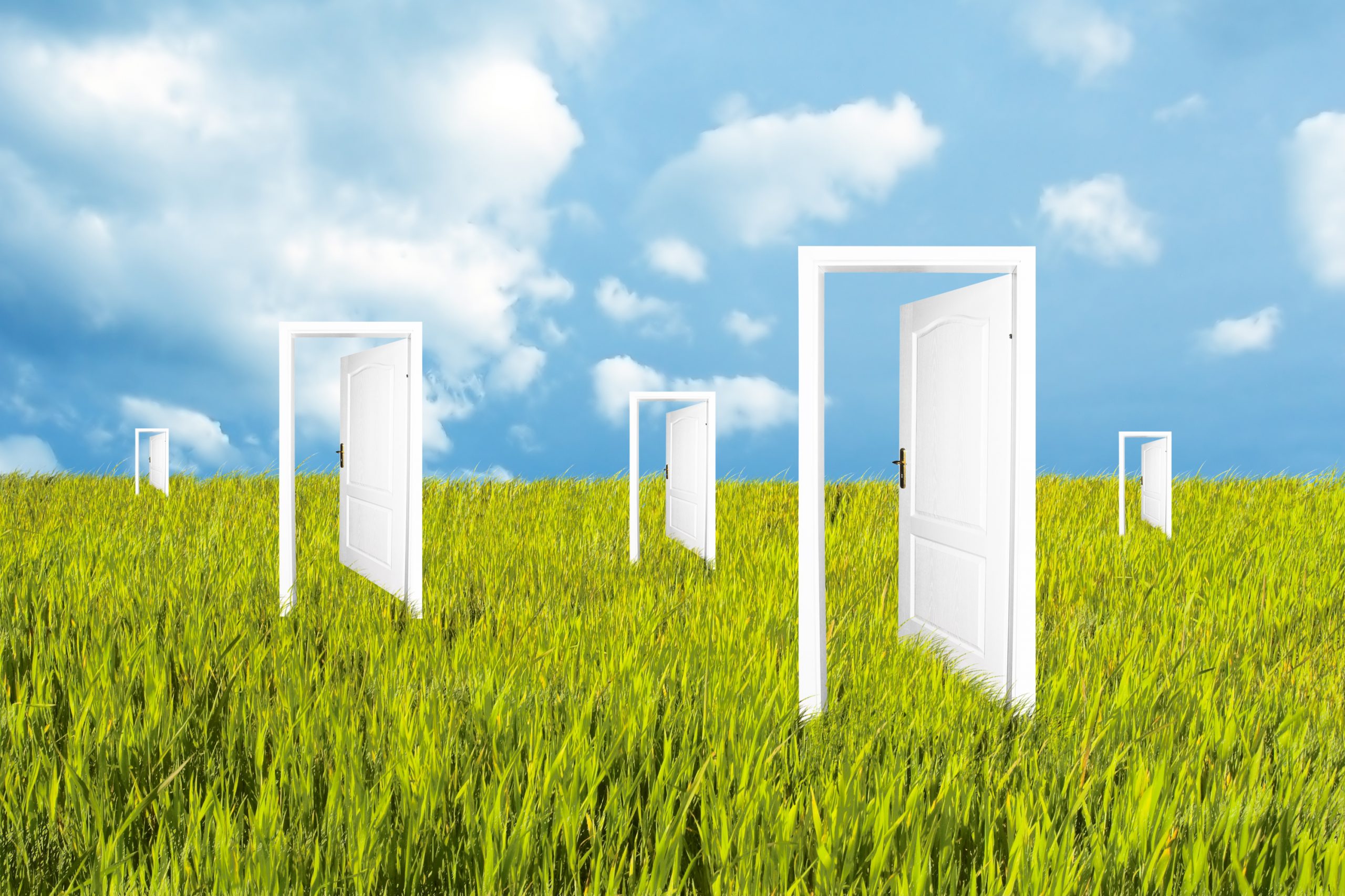 Portes obertes
